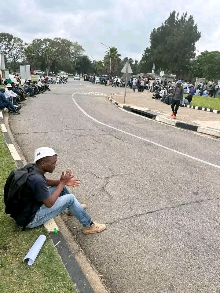 Why Are Graduates Still Unemployed in South Africa?