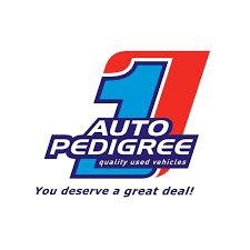Auto Pedigree: Learnership Opportunities 2025