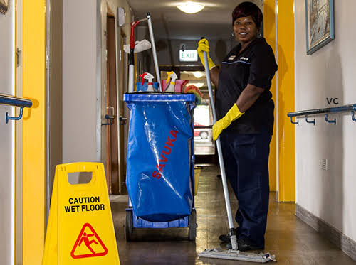 Airlink: Cleaners