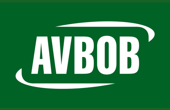 AVBOB: Long Term Insurance Learnerships 2025