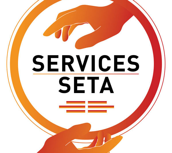 How to Nail the Services SETA Online Learnership Application
