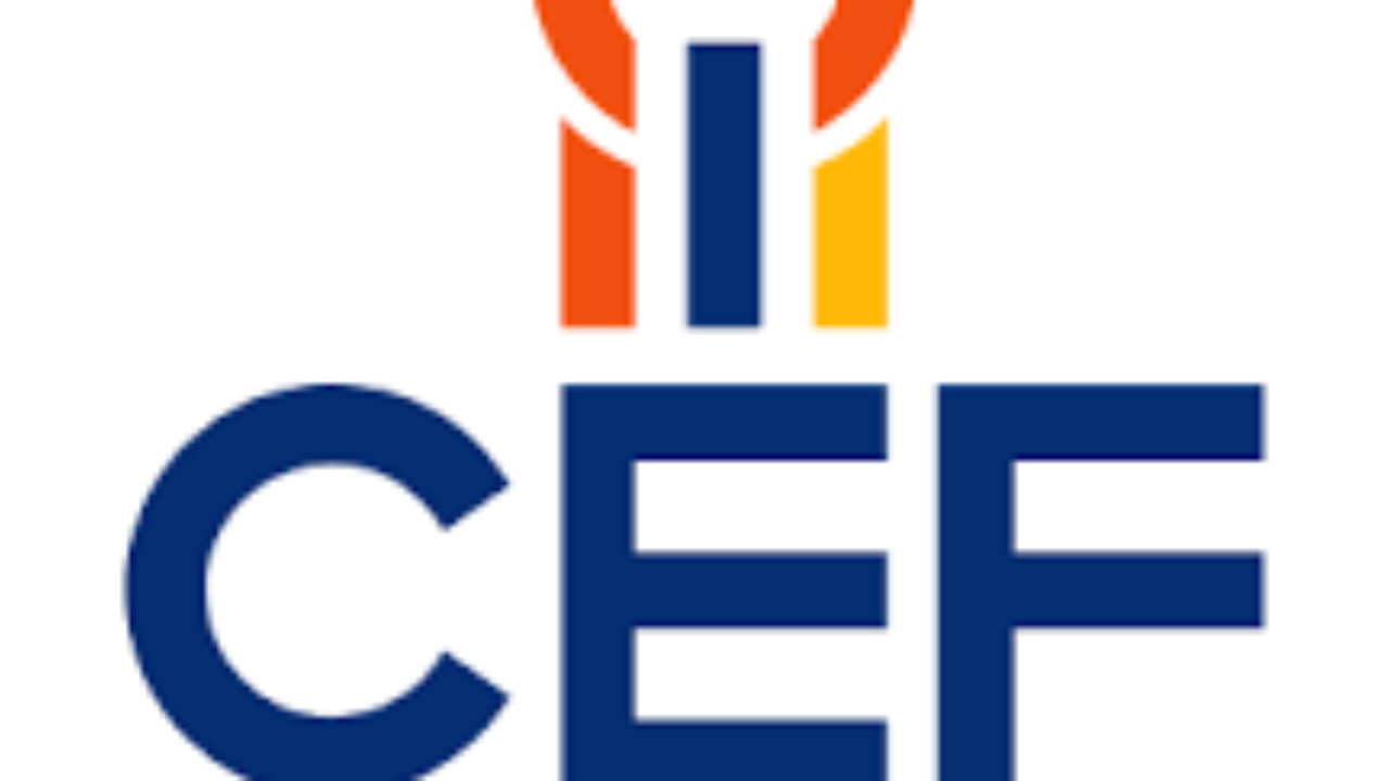 The Central Energy Fund: In-Service Training Programme